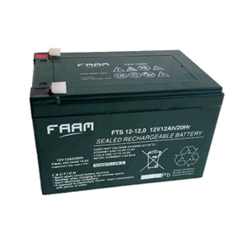 FAAM 12 V 12 Ah Battery