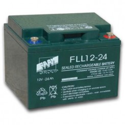 FAAM 12 V 24 Ah Battery