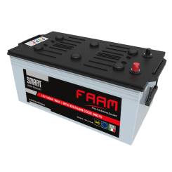 FAAM 135 ач Л+